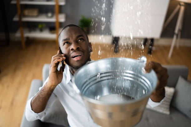  Orange Cove, CA Water damage restoration Pros