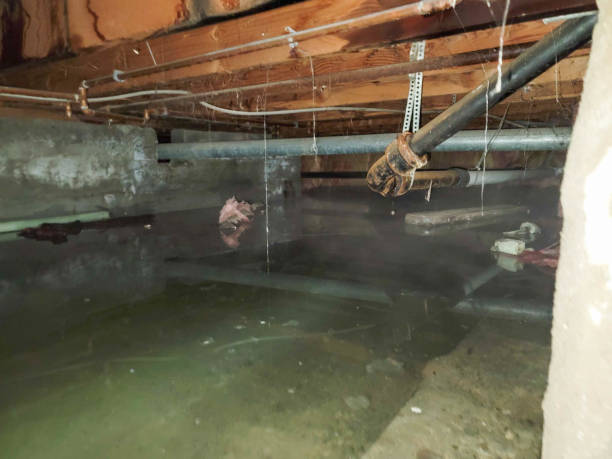 Best Ceiling water damage repair  in Orange Cove, CA