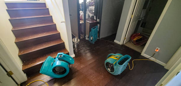 Best 24-hour water damage restoration  in Orange Cove, CA