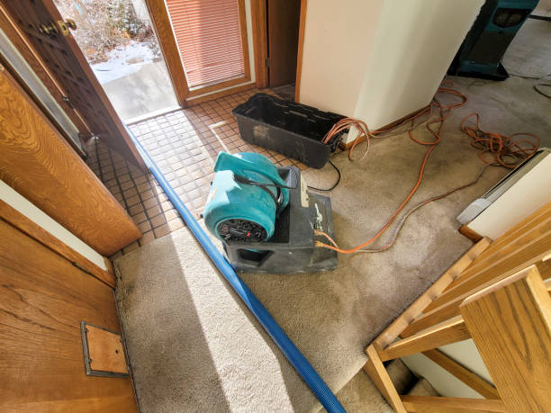  Orange Cove, CA Water damage restoration Pros