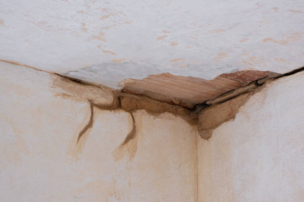 Best Emergency water damage restoration  in Orange Cove, CA