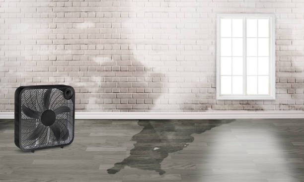 Best Flooded house restoration  in Orange Cove, CA