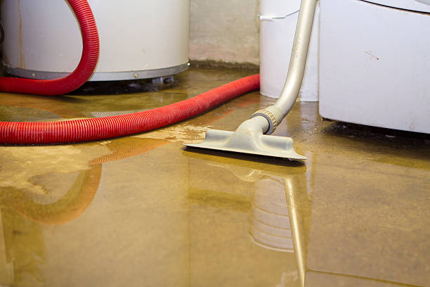 Best Basement water damage restoration  in Orange Cove, CA